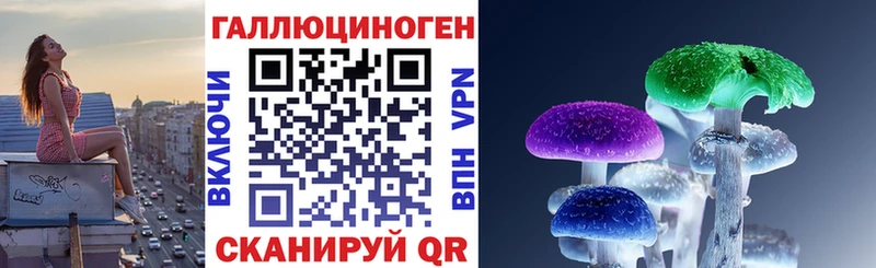 Псилоцибиновые грибы Psilocybine cubensis  магазин    Приморск 